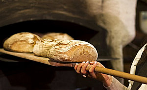 Brot backen Brot backen