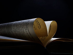 Buchseiten Buchseiten