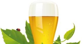 bierglas-mit-hopfen-vorschau