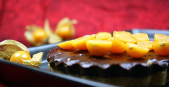 schoko-kuchen-mit-physalis1