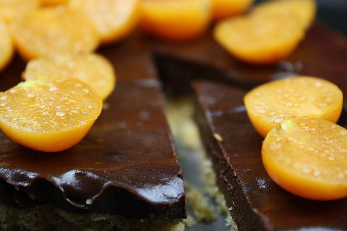 schoko-kuchen-mit-physalis2