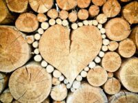Hausbau mit Holz – gut für Mensch und Umwelt?