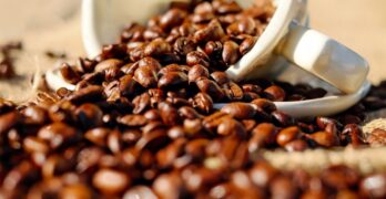 kaffee-richtig-aufbewahren-tipps